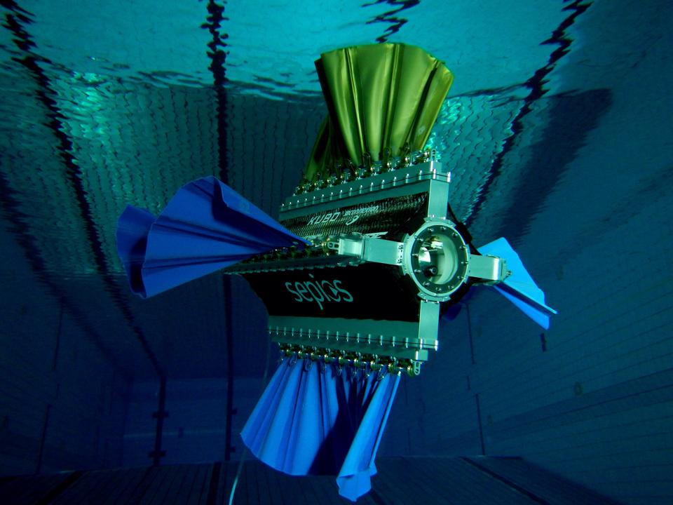 Sepios diving in swimming pool with all four fins attached